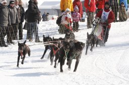 Lenk 2012 SM